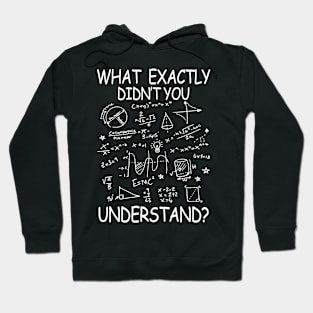 What Exactly You Didn't Understand - Math Hoodie